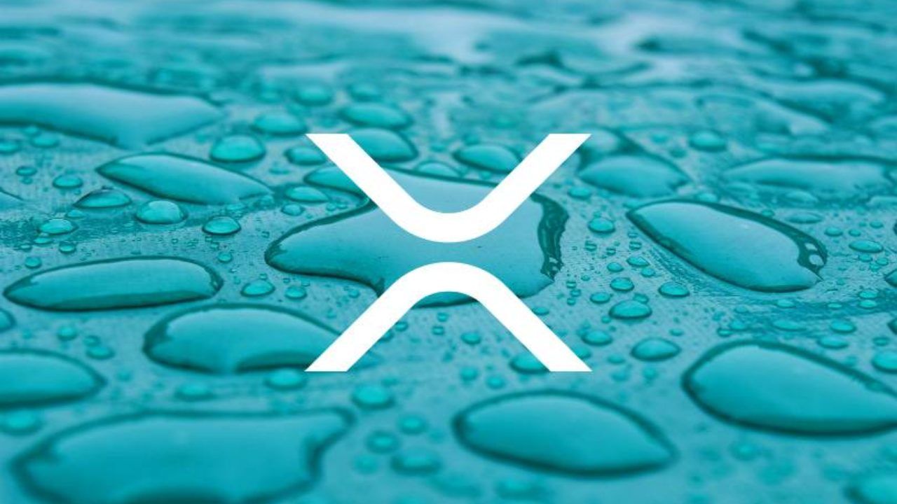 Ripple avenir : quel est l’avenir de cette crypto-monnaie